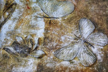 Kelebek Duvar yüzeyi, arka plan. 