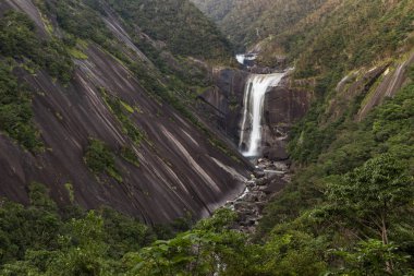 Senpiro şelale Yakushima Island, Japonya'nın en ünlü şelale bu adada bu
