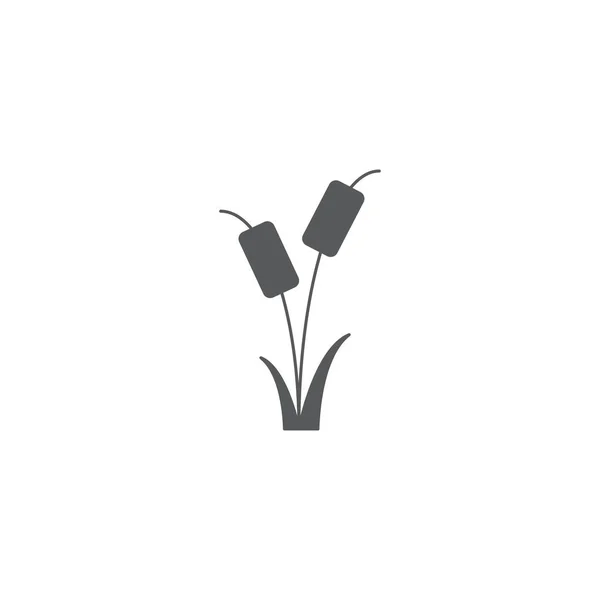 芦苇植物向量图标查出在白色背景 — 图库矢量图片