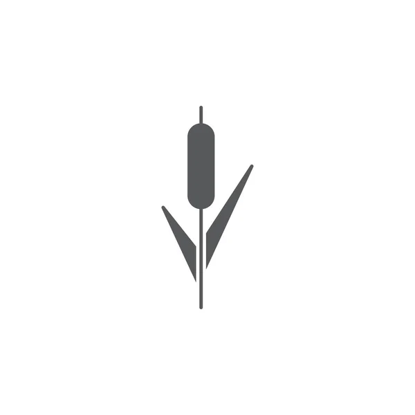 Riet plant vector icoon geïsoleerd op witte achtergrond — Stockvector