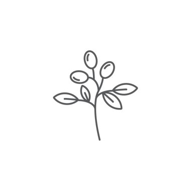 zeytin dal bitki vektör simgesi kavramı, beyaz arka plan üzerinde izole