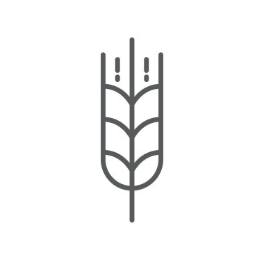 Beyaz arkaplanda izole edilmiş buğday vektörü simgesi besin