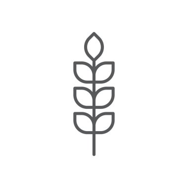 Beyaz arkaplanda izole edilmiş buğday vektörü simgesi besin