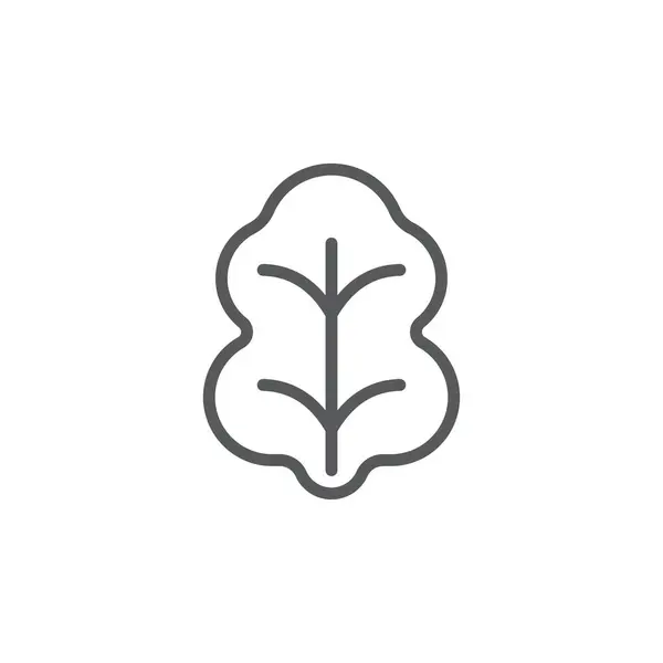 卷心菜叶标象征蔬菜在白色背景上分离 — 图库矢量图片