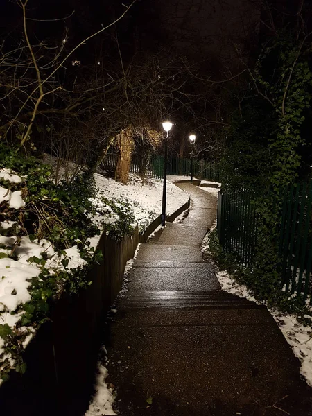 Dark Path Park Snowy Night — Stock Photo, Image