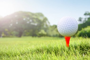 Golf geniş yeşil çim.