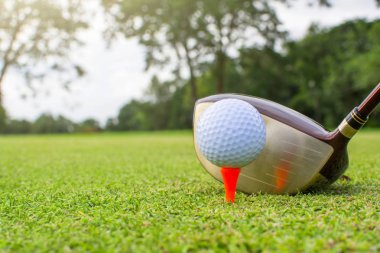 tee Golf.