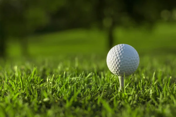 ティーにはゴルフクラブとゴルフボールが置かれています。. — ストック写真
