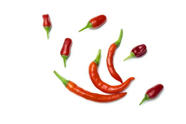 Peppers Layout White Background — Stock Photo, Image