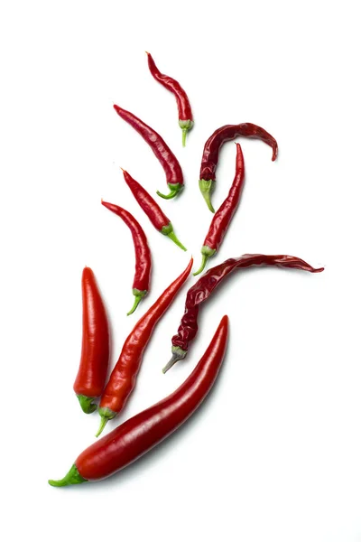 Peppers Layout White Background — Stock Photo, Image