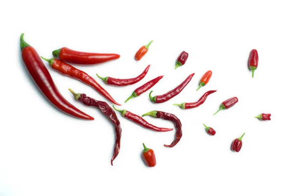 Peppers Layout White Background — Stock Photo, Image