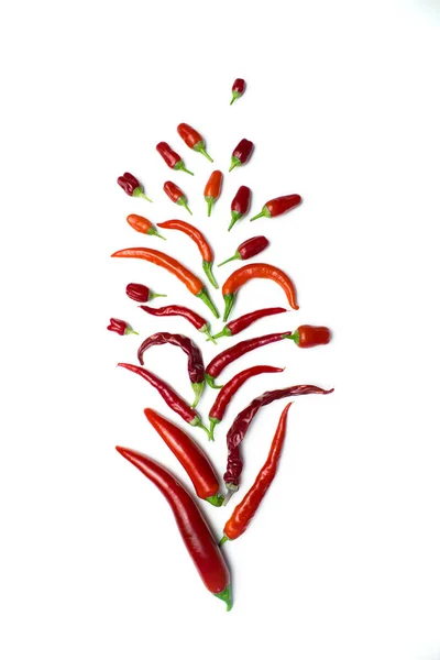 Peppers Layout White Background — Stock Photo, Image