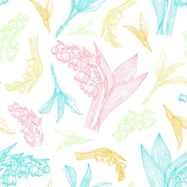 Vadinin Lily 'i. Botanik grafik deseni