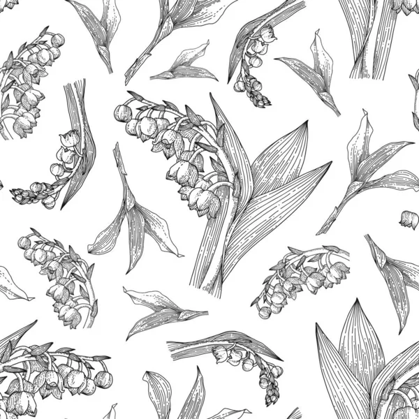 Vadinin Lily 'i. Botanik grafik deseni