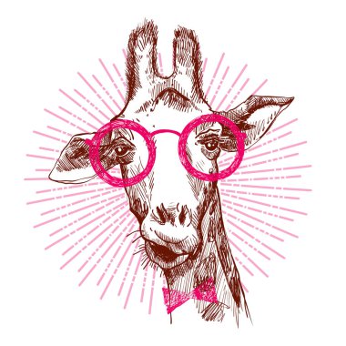 A hipster stylish giraffe. Hand drawn giraffe for poster. Sketch of the giraffe facial head. Giraffe with divergent rays from him.
