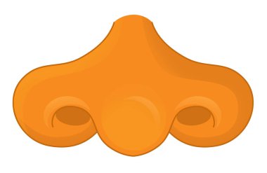 burun türü kavramı yakın çekim 