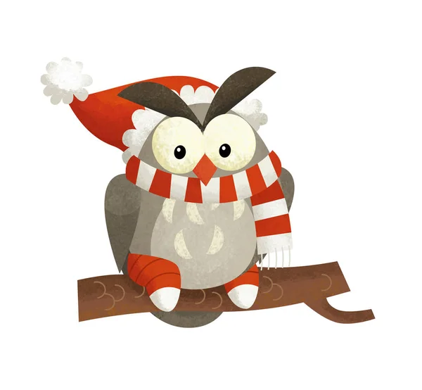 cartoon scene with owl bird santa claus on white background - illustration for children