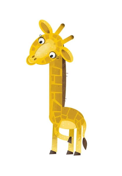 cartoon scene with giraffe on white background - illustration for children