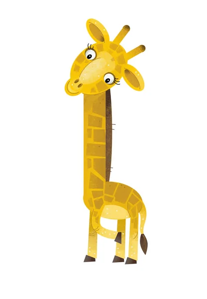 Scène Dessin Animé Avec Girafe Sur Fond Blanc Illustration Pour — Photo