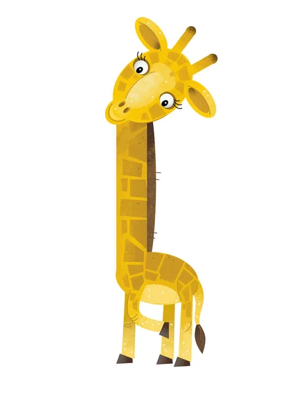 Cena Dos Desenhos Animados Com Girafa Fundo Branco Ilustração Para — Fotografia de Stock