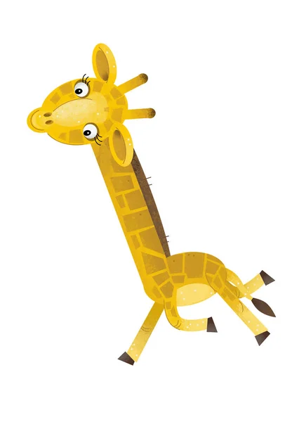 Beyaz Arka Plan Gösterim Amacıyla Çocuk Zürafa Ile Çizgi Film — Stok fotoğraf