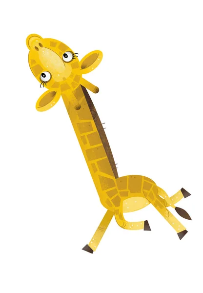 Scène Dessin Animé Avec Girafe Sur Fond Blanc Illustration Pour — Photo