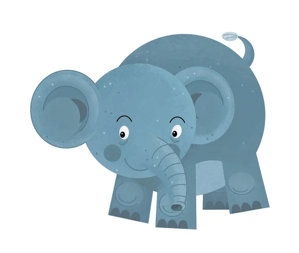 Cena Dos Desenhos Animados Com Elefante Fundo Branco Olhando Sorrindo — Fotografia de Stock