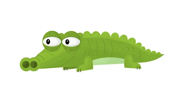 Cena Dos Desenhos Animados Com Crocodilo Engraçado Fundo Branco Ilustração — Fotografia de Stock
