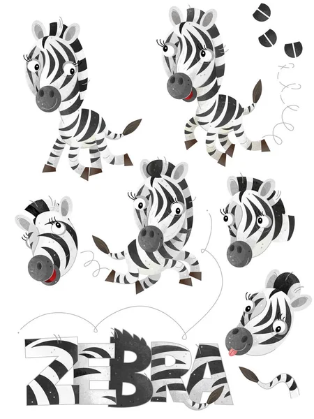 Escena Dibujos Animados Con Conjunto Cebras Sobre Fondo Blanco Con — Foto de Stock