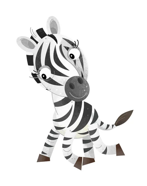 Cena Dos Desenhos Animados Com Zebra Sobre Fundo Branco Ilustração — Fotografia de Stock