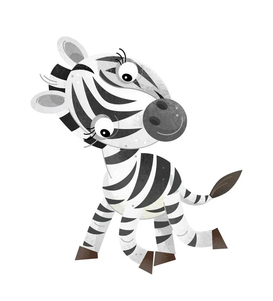 Kreslený Scény Zebra Bílém Pozadí Ilustrace Pro Děti — Stock fotografie