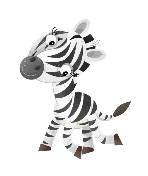 Zebra Beyaz Arka Planda Illüstrasyon Çocuklar Için Çizgi Film Sahne — Stok fotoğraf