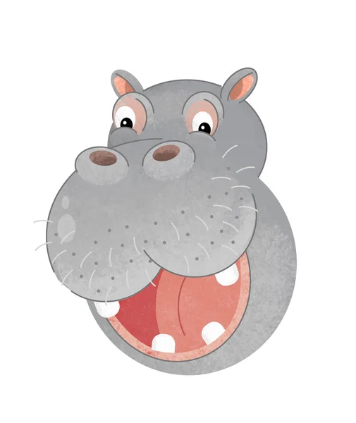 Cena Desenho Animado Com Cabeça Hipopótamo Fundo Branco Ilustração Para — Fotografia de Stock