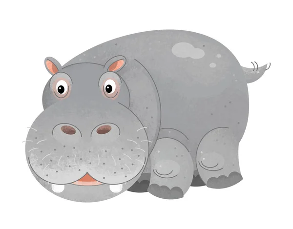 Kreskówka Scena Hipopotam Białym Tle Ilustracja Dla Dzieci — Zdjęcie stockowe
