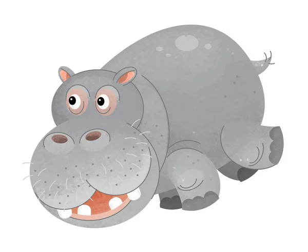 cartoon scene with hippo on white background - illustration for children