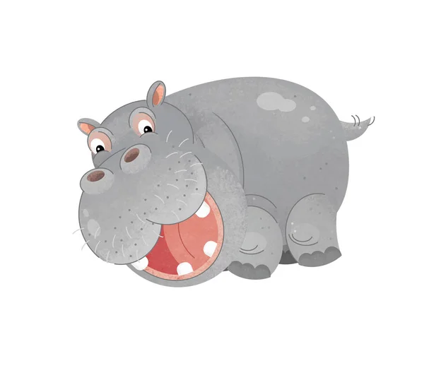Cena Dos Desenhos Animados Com Hipopótamo Sobre Fundo Branco Ilustração — Fotografia de Stock