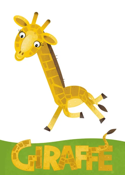 Scène Dessin Animé Avec Carte Girafe Sur Fond Blanc Avec — Photo