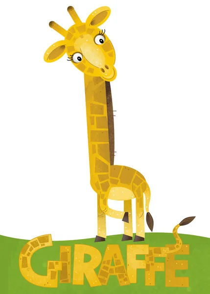 Cena Desenho Animado Com Cartão Girafa Fundo Branco Com Nome — Fotografia de Stock