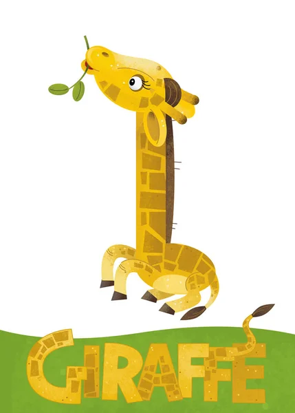 Cena Desenho Animado Com Cartão Girafa Fundo Branco Com Nome — Fotografia de Stock