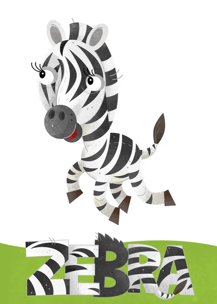 Cena Dos Desenhos Animados Com Cartão Zebra Sobre Fundo Branco — Fotografia de Stock