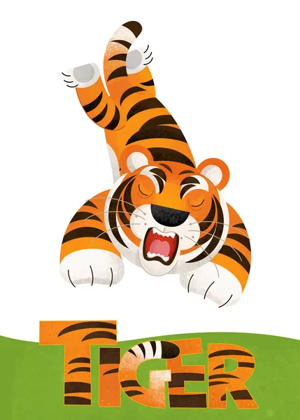 Cartoon Scene Tiger Card White Background Name Animal Illustration Children — Stock Photo, Image