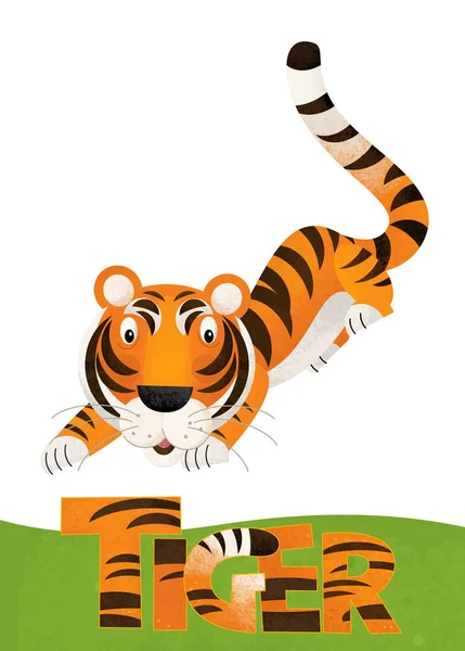 Kreslený Scény Kartou Tygr Bílém Pozadí Názvem Zvířete Ilustrace Pro — Stock fotografie