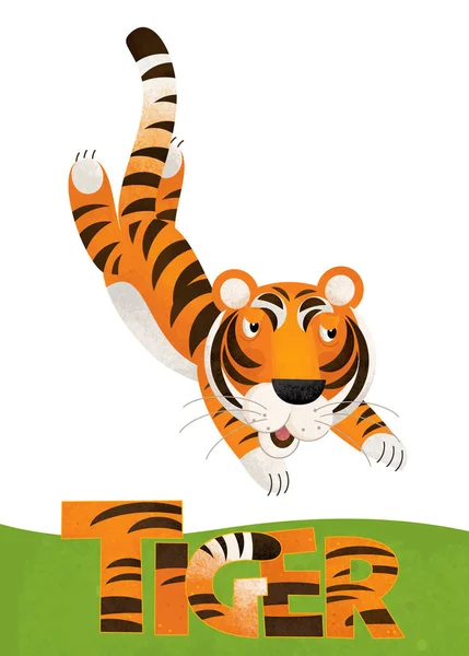 Cartoon Scene Tiger Card White Background Name Animal Illustration Children — Stock Photo, Image