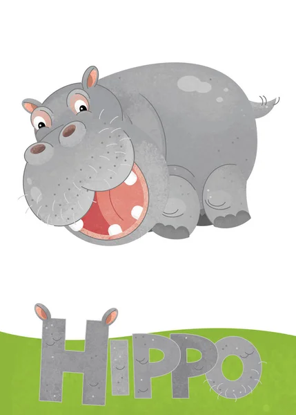 Scène Dessin Animé Avec Carte Hippopotame Sur Fond Blanc Avec — Photo