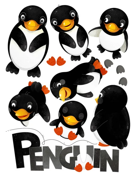 Cena Desenho Animado Com Conjunto Pinguins Fundo Branco Com Nome — Fotografia de Stock