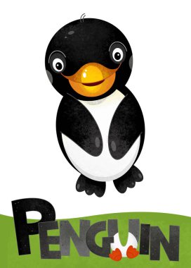 çizgi film sahne hayvan - çocuklar için örnek adı ile beyaz arka plan üzerinde penguen kart ile