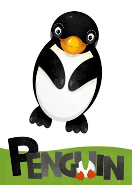 çizgi film sahne hayvan - çocuklar için örnek adı ile beyaz arka plan üzerinde penguen kart ile