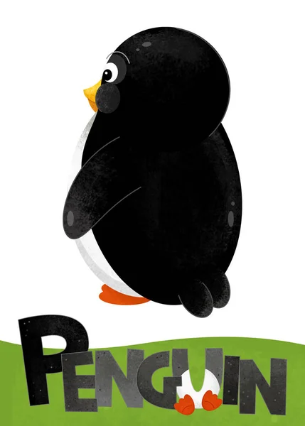 Scenă Desene Animate Carte Pinguin Fundal Alb Numele Animal Ilustrație — Fotografie, imagine de stoc