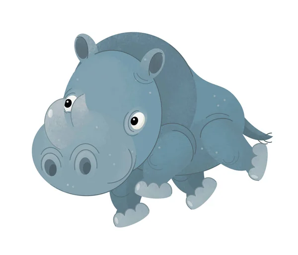 Cena Dos Desenhos Animados Com Rinoceronte Animal Sobre Fundo Branco — Fotografia de Stock