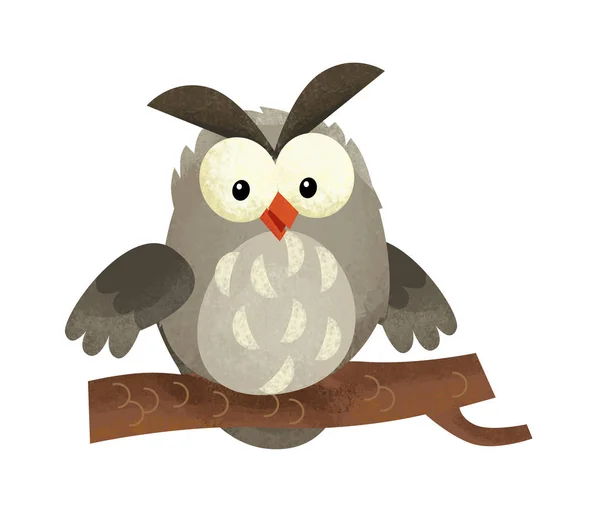 Cartoon Scen Med Owl Djur Vit Bakgrund Illustration För Barn — Stockfoto